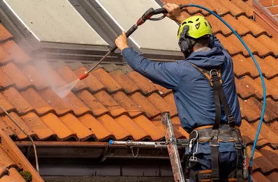 Démoussage et hydrofuge de toiture à Stazzona